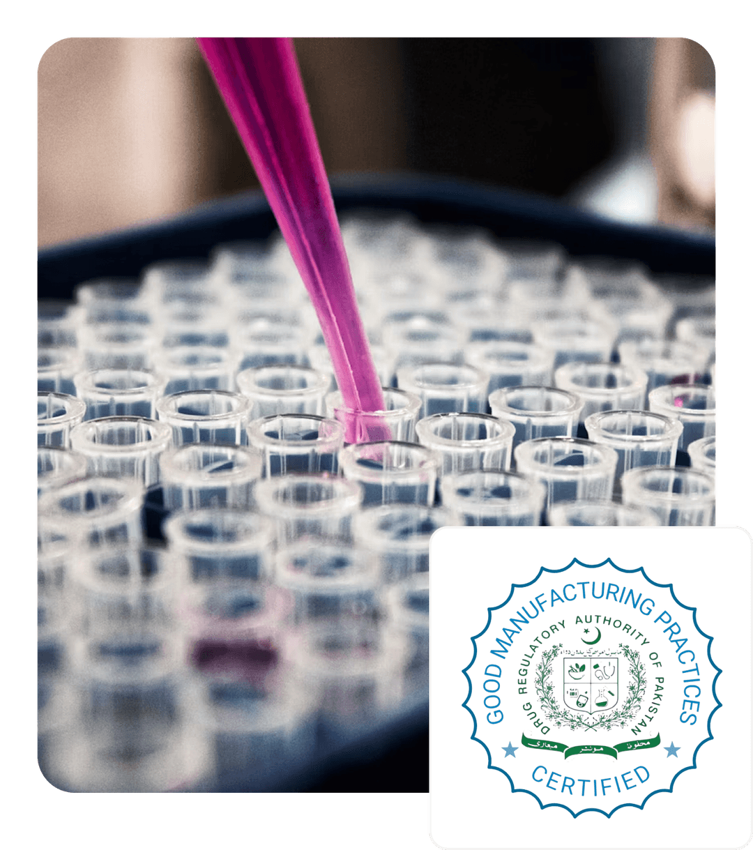 Quality Assurance